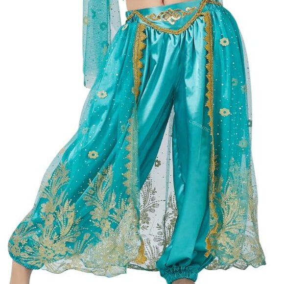 Aladdin Princess Jasmine Costume Belly Dancer Costume Ladies -- Small - Picture 2 of 3